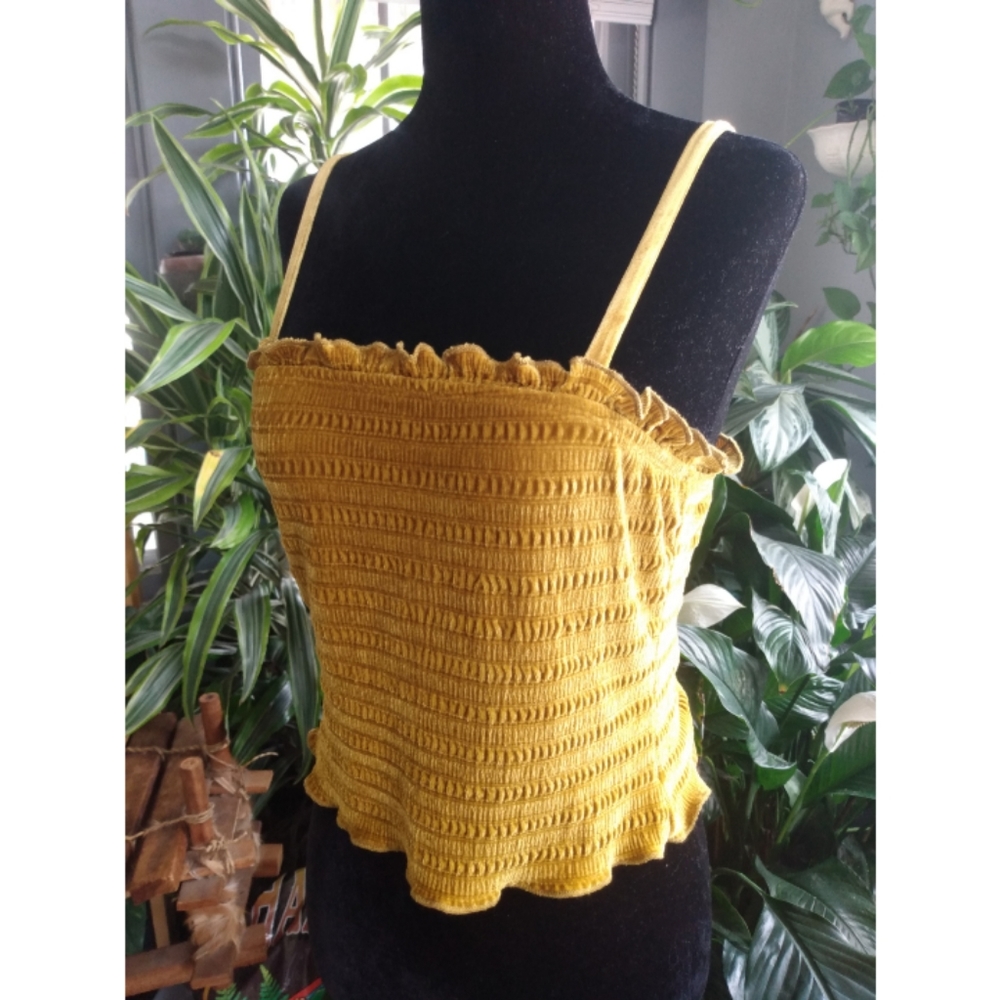 Wild Fable Gold Velvet Top